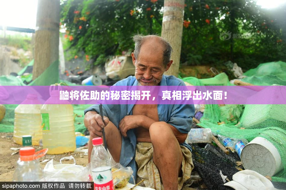 鼬将佐助的秘密揭开，真相浮出水面！