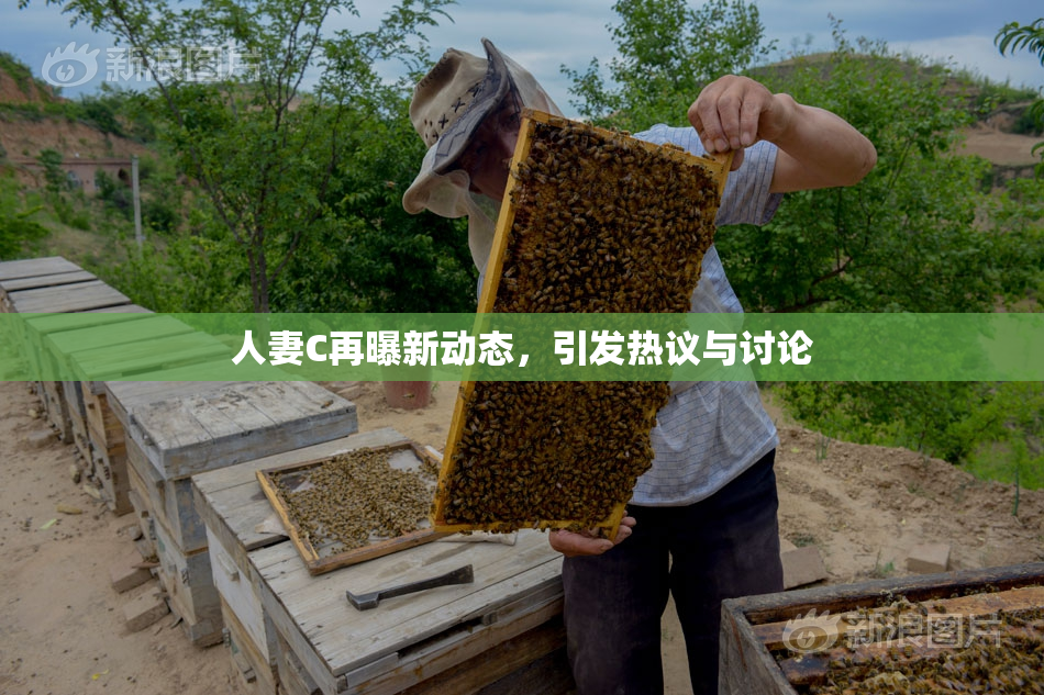 人妻C再曝新动态，引发热议与讨论