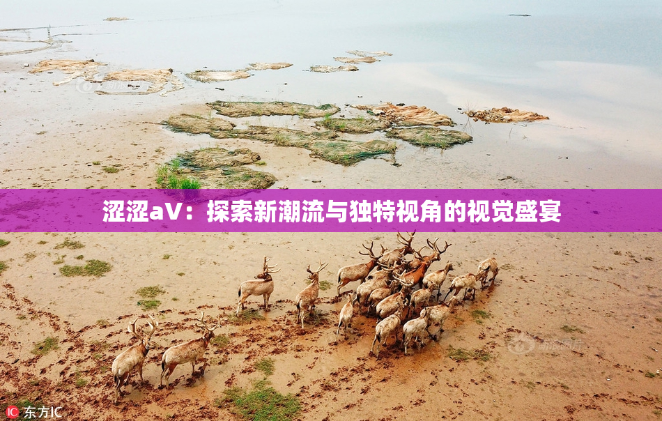 涩涩aV：探索新潮流与独特视角的视觉盛宴