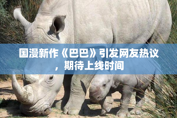 国漫新作《巴巴》引发网友热议，期待上线时间
