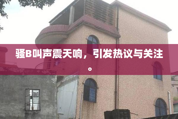 骚B叫声震天响，引发热议与关注。