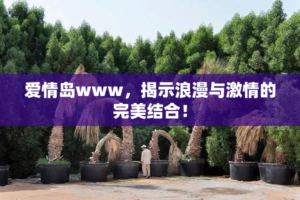 爱情岛www，揭示浪漫与激情的完美结合！