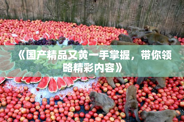《国产精品又黄一手掌握，带你领略精彩内容》