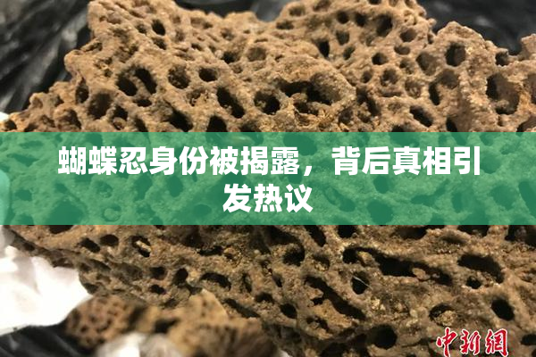蝴蝶忍身份被揭露，背后真相引发热议