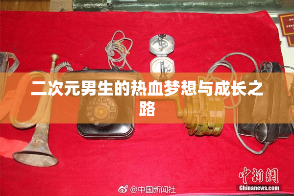 二次元男生的热血梦想与成长之路
