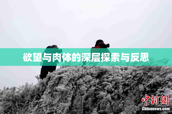 欲望与肉体的深层探索与反思