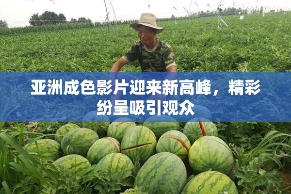 亚洲成色影片迎来新高峰，精彩纷呈吸引观众