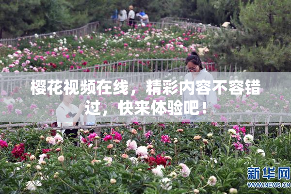 樱花视频在线，精彩内容不容错过，快来体验吧！
