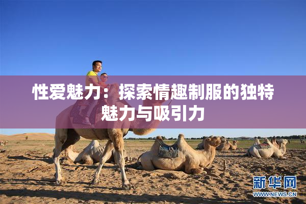 性爱魅力：探索情趣制服的独特魅力与吸引力