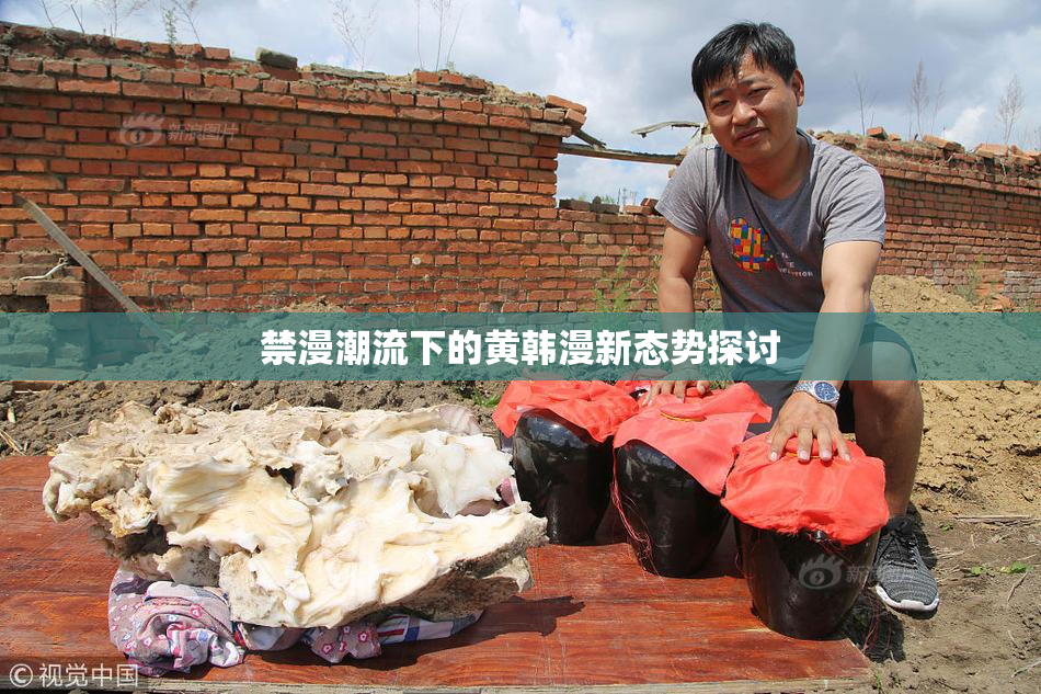禁漫潮流下的黄韩漫新态势探讨