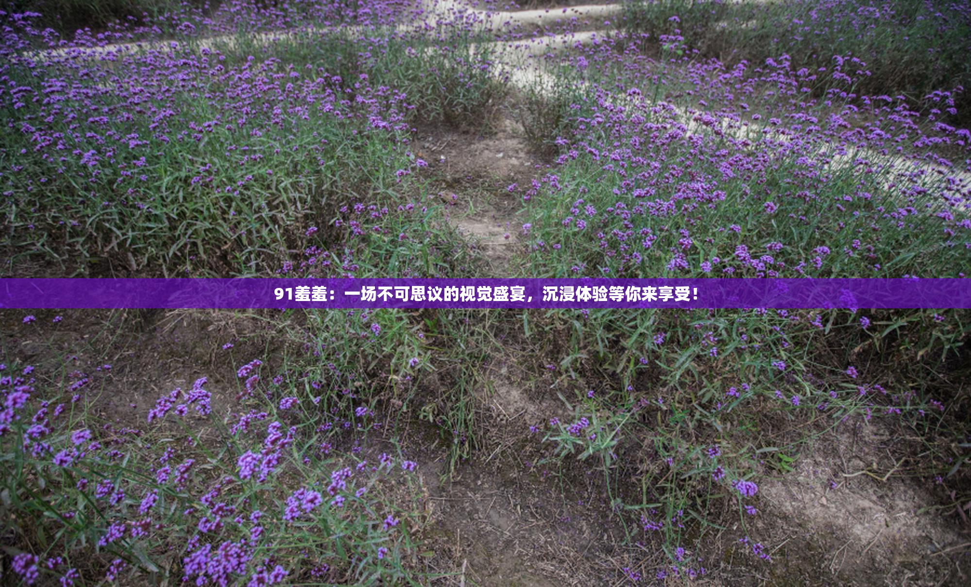 91羞羞：一场不可思议的视觉盛宴，沉浸体验等你来享受！