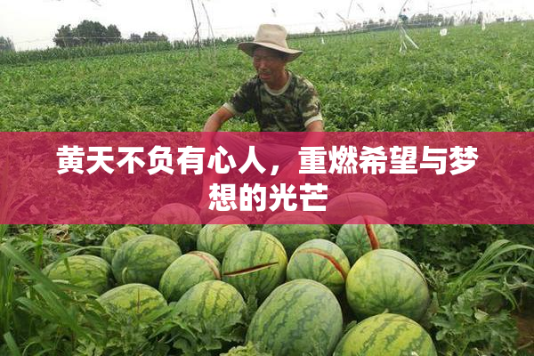 黄天不负有心人，重燃希望与梦想的光芒