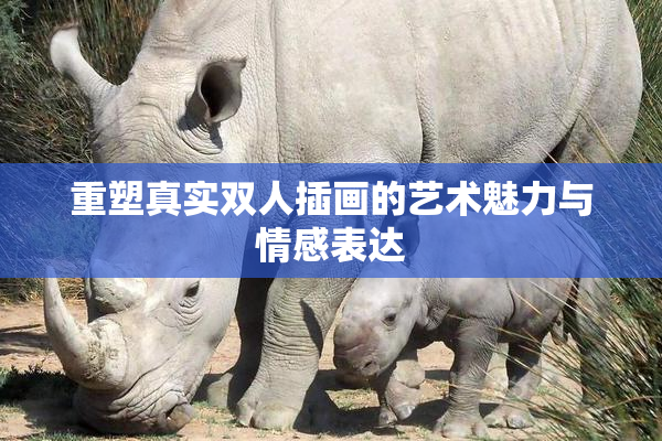 重塑真实双人插画的艺术魅力与情感表达