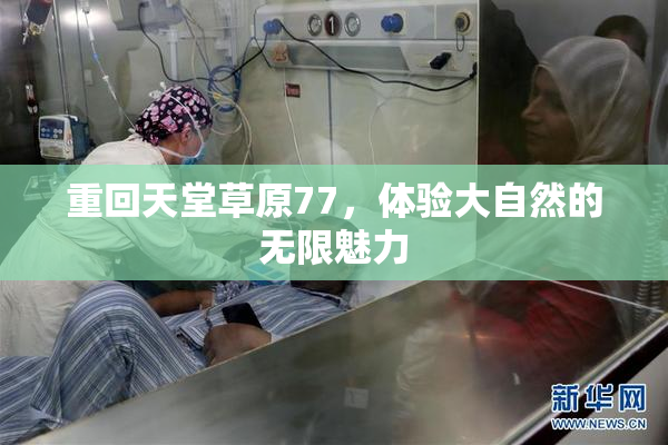 重回天堂草原77，体验大自然的无限魅力