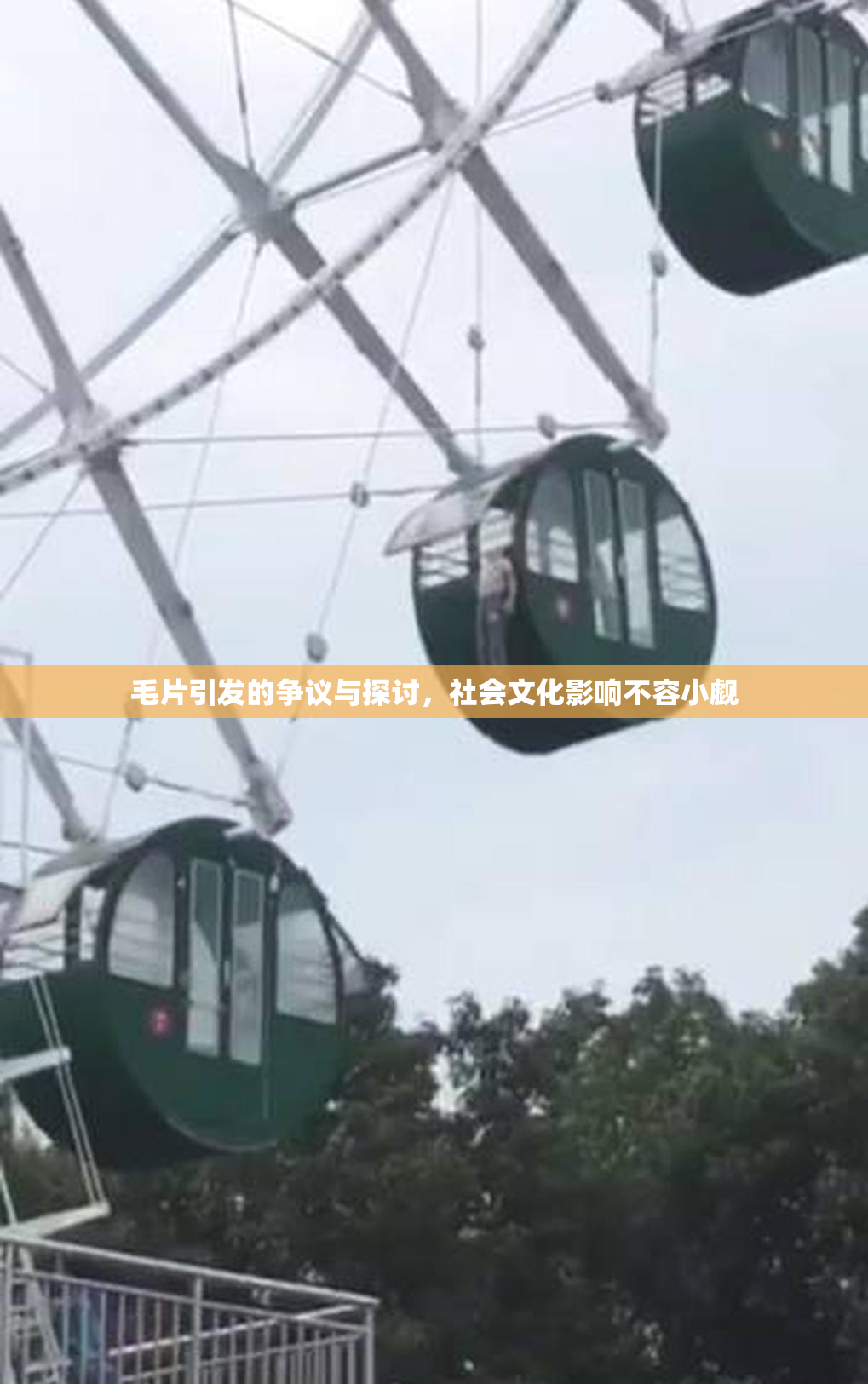 毛片引发的争议与探讨，社会文化影响不容小觑