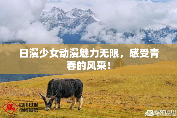 日漫少女动漫魅力无限，感受青春的风采！