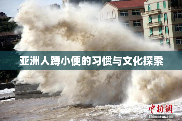 亚洲人蹲小便的习惯与文化探索