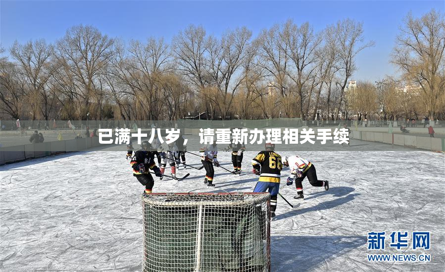 已满十八岁，请重新办理相关手续