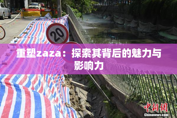 重塑zaza：探索其背后的魅力与影响力