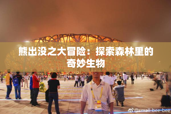 熊出没之大冒险：探索森林里的奇妙生物