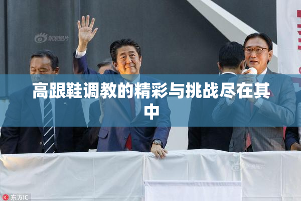 高跟鞋调教的精彩与挑战尽在其中