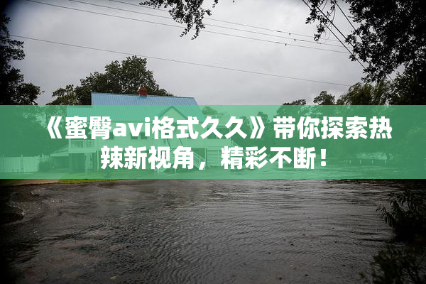 《蜜臀avi格式久久》带你探索热辣新视角，精彩不断！
