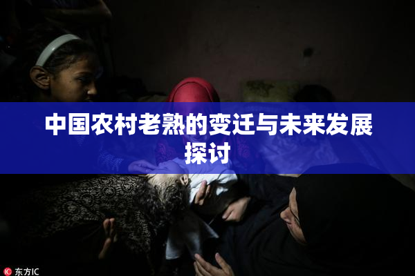 中国农村老熟的变迁与未来发展探讨