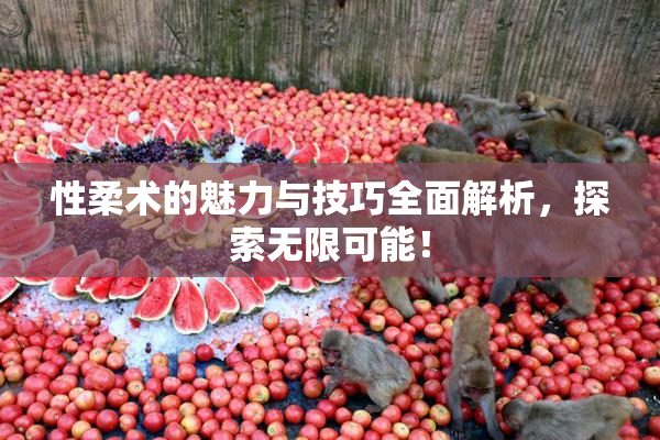 性柔术的魅力与技巧全面解析，探索无限可能！