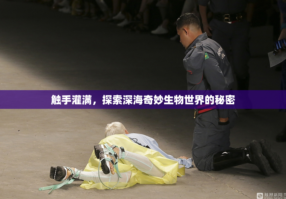 触手灌满，探索深海奇妙生物世界的秘密