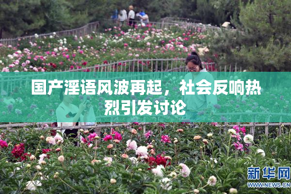 国产淫语风波再起，社会反响热烈引发讨论