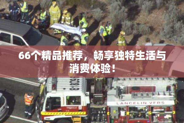 66个精品推荐，畅享独特生活与消费体验！