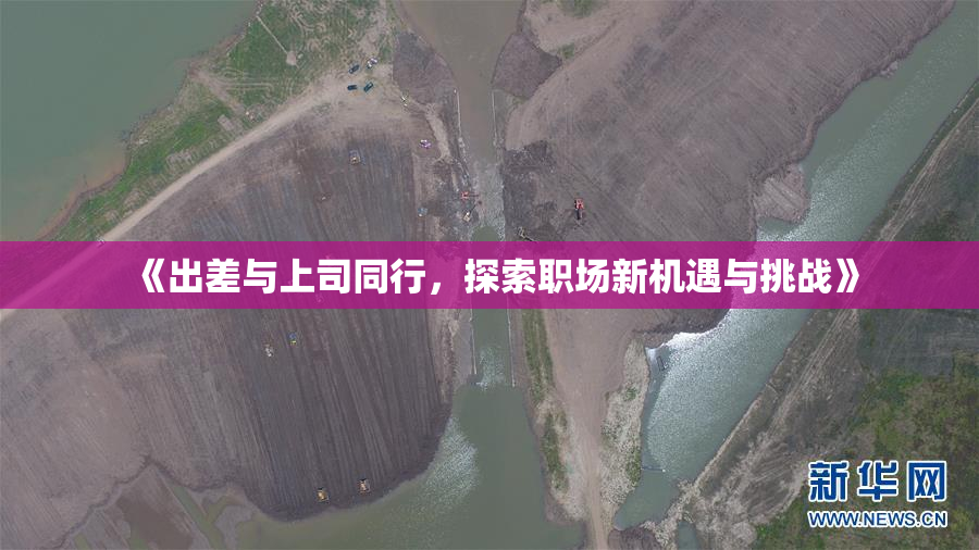 《出差与上司同行，探索职场新机遇与挑战》