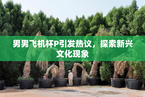 男男飞机杯P引发热议，探索新兴文化现象