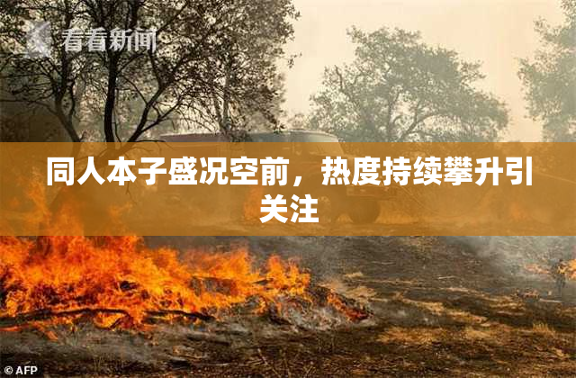同人本子盛况空前，热度持续攀升引关注