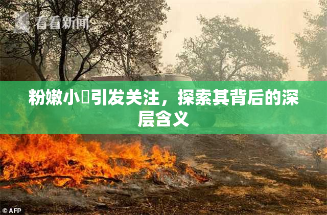 粉嫩小泬引发关注，探索其背后的深层含义