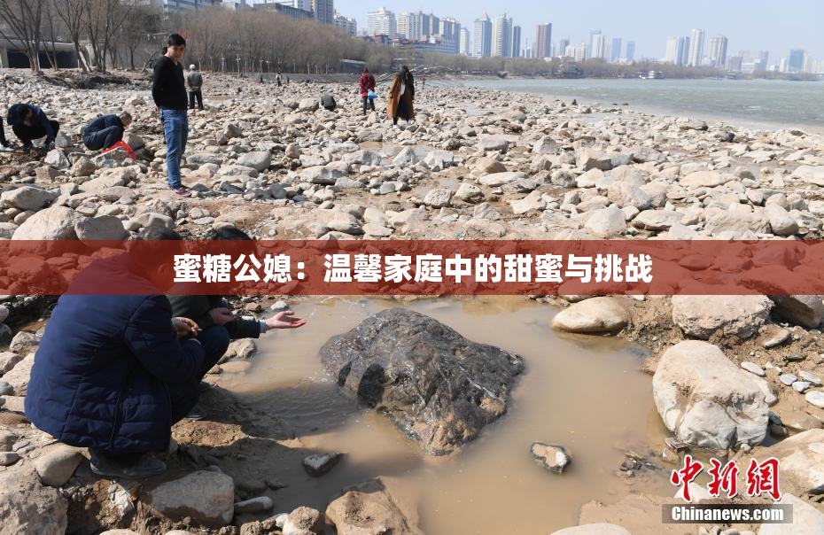蜜糖公媳：温馨家庭中的甜蜜与挑战