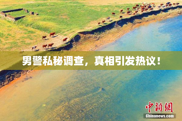 男警私秘调查，真相引发热议！
