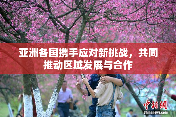 亚洲各国携手应对新挑战，共同推动区域发展与合作