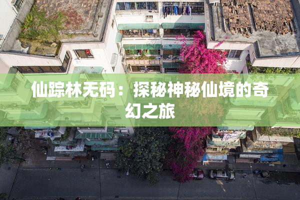 仙踪林无码：探秘神秘仙境的奇幻之旅