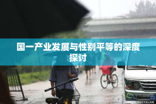 国一产业发展与性别平等的深度探讨