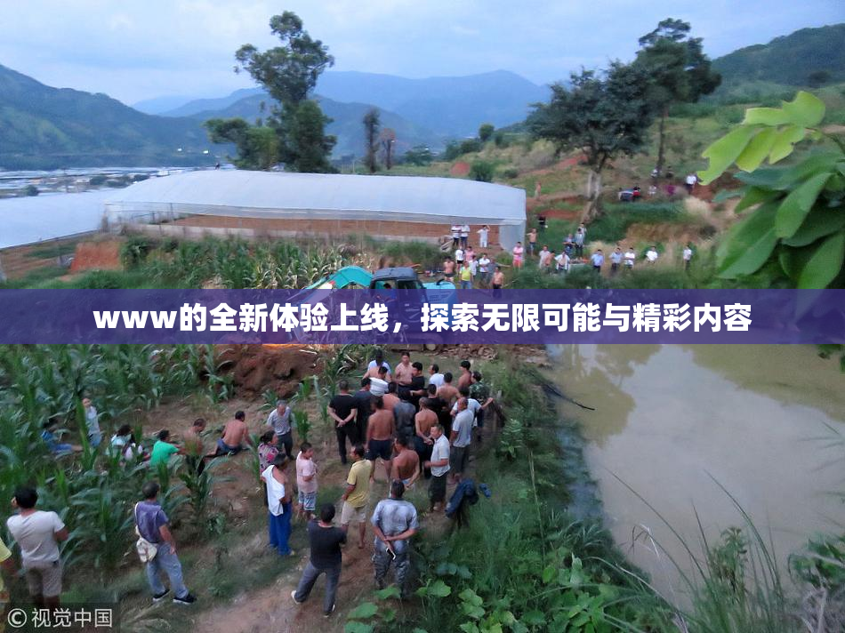 www的全新体验上线，探索无限可能与精彩内容