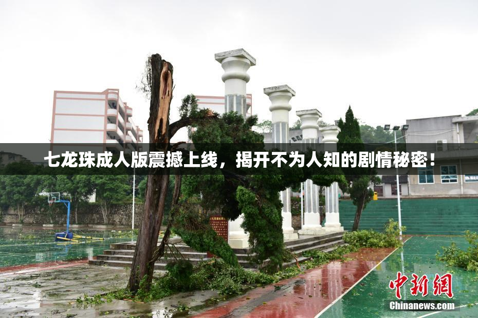 七龙珠成人版震撼上线，揭开不为人知的剧情秘密！
