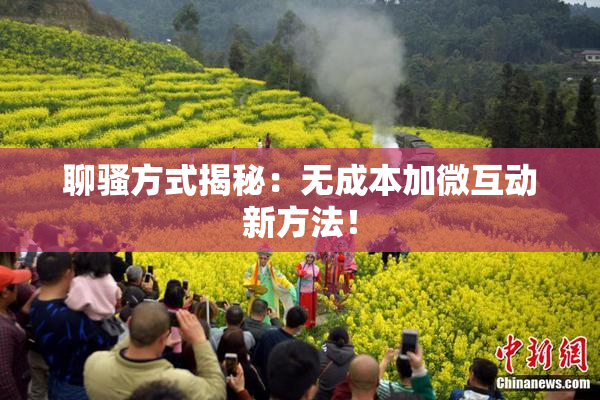 聊骚方式揭秘：无成本加微互动新方法！