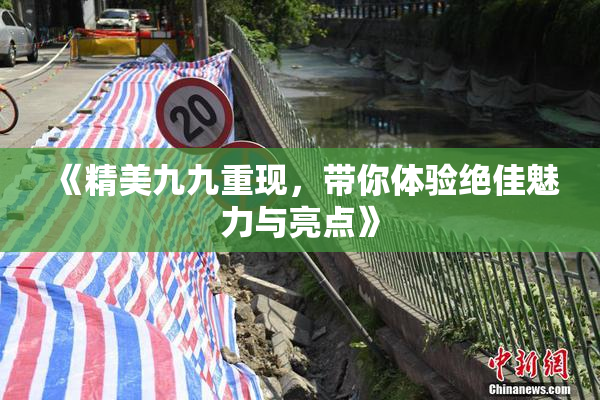 《精美九九重现，带你体验绝佳魅力与亮点》