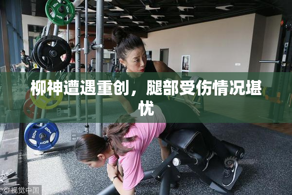 柳神遭遇重创，腿部受伤情况堪忧