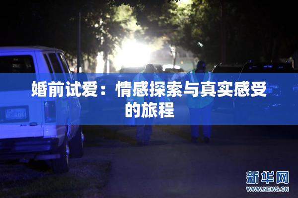 婚前试爱：情感探索与真实感受的旅程