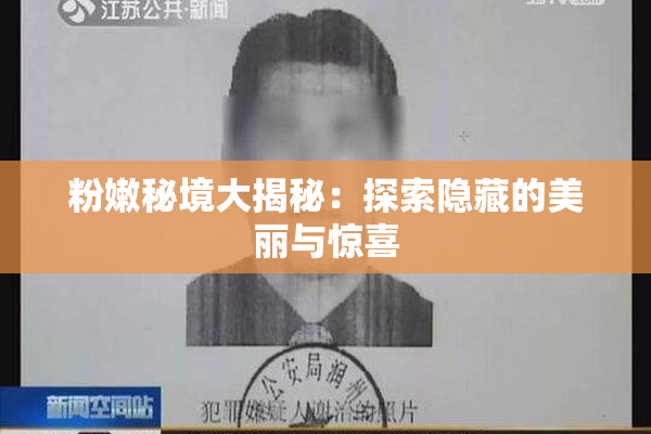 粉嫩秘境大揭秘：探索隐藏的美丽与惊喜