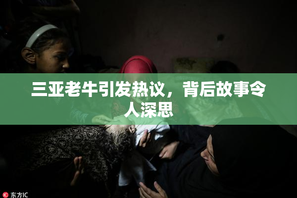 三亚老牛引发热议，背后故事令人深思