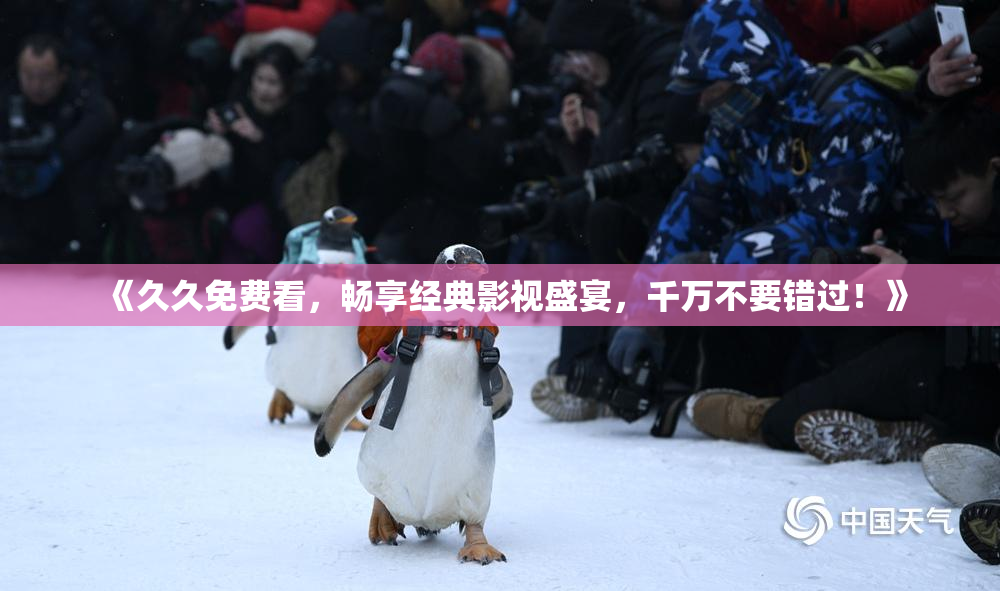 《久久免费看，畅享经典影视盛宴，千万不要错过！》