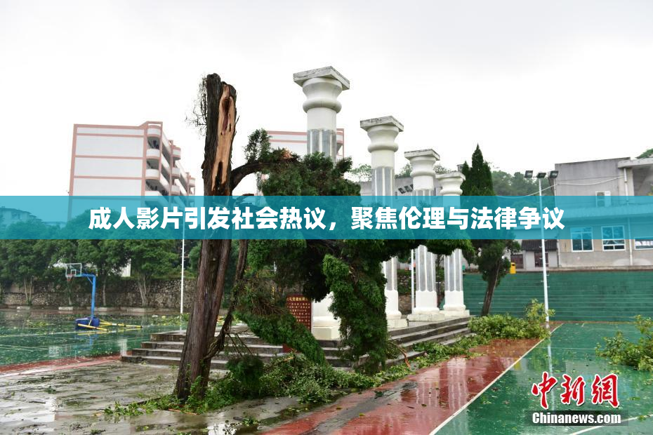 成人影片引发社会热议，聚焦伦理与法律争议